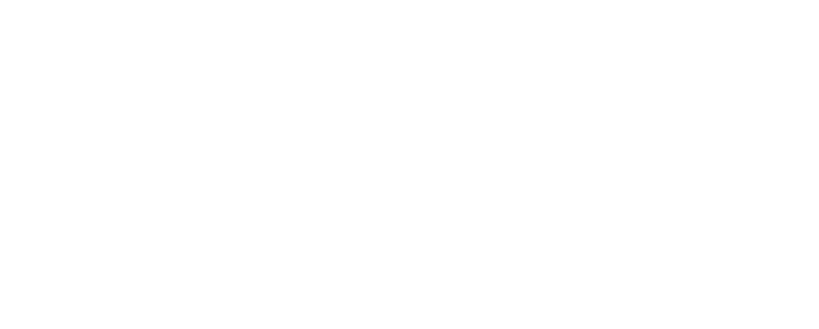 microsoft partner logo