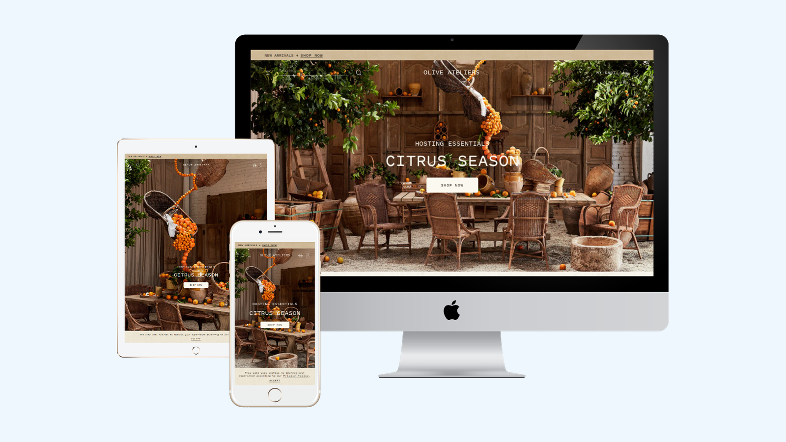 Home Decor website design example